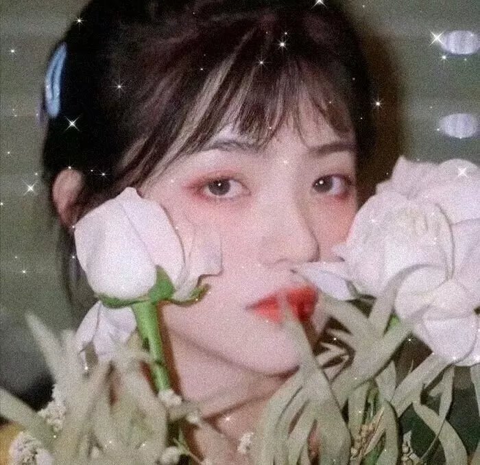爱在有情天