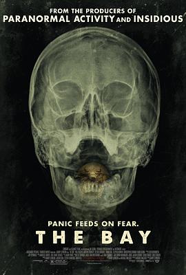 天雷勾动地火 封面图